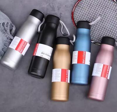 Insulated Stainless Steel Water Bottle