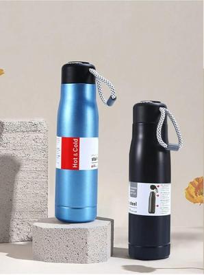 Insulated Stainless Steel Water Bottle